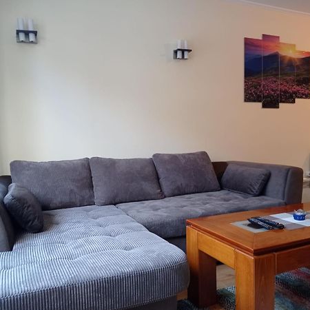 Pine Tree Apartment 3 - B3 Bansko Bagian luar foto