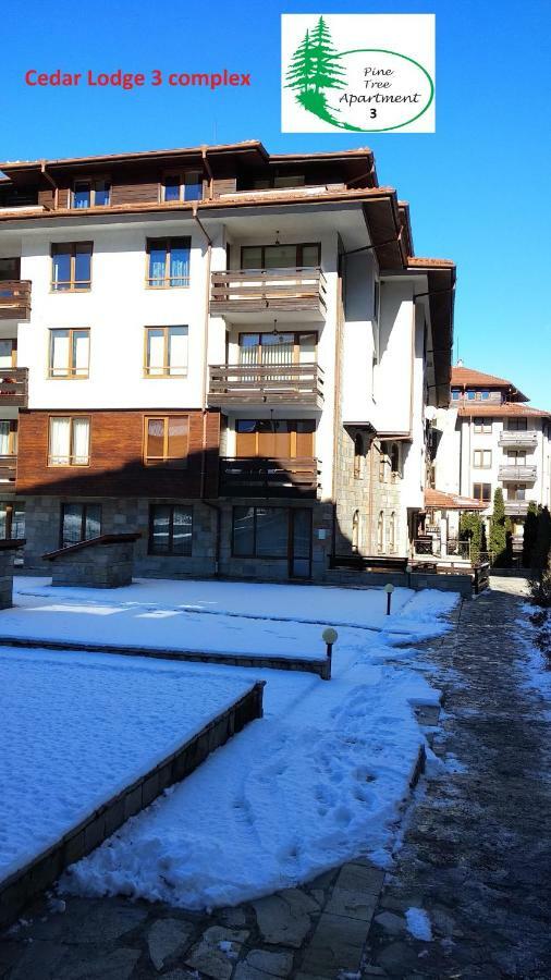 Pine Tree Apartment 3 - B3 Bansko Bagian luar foto