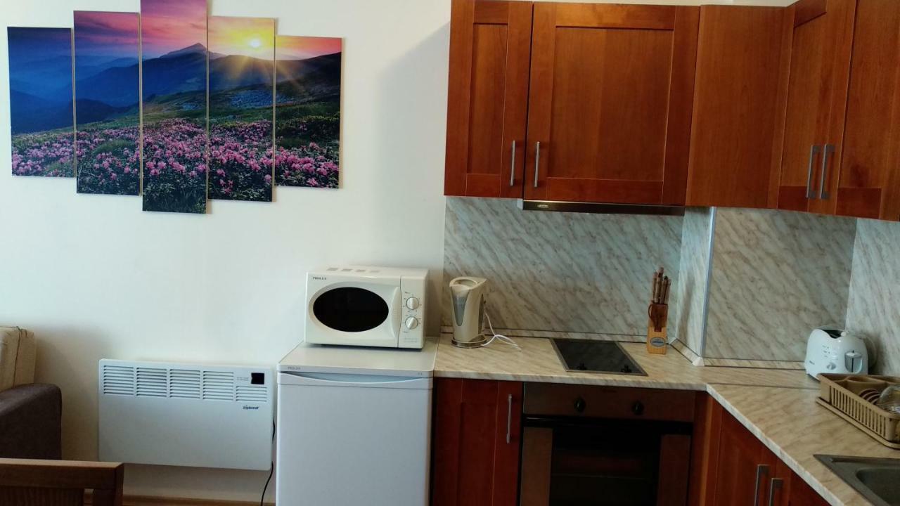 Pine Tree Apartment 3 - B3 Bansko Bagian luar foto