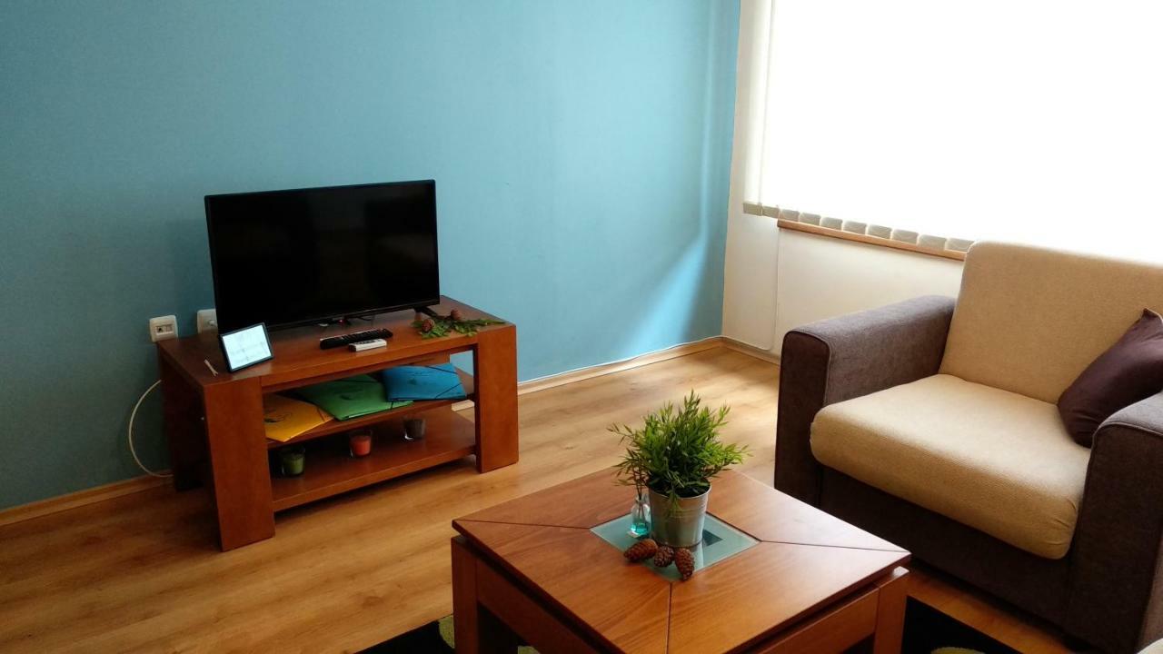 Pine Tree Apartment 3 - B3 Bansko Bagian luar foto